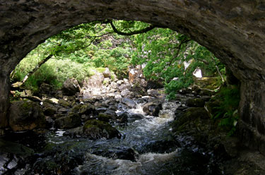 Eas Force bridge