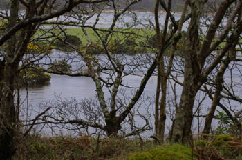 River Ba
                            in flood