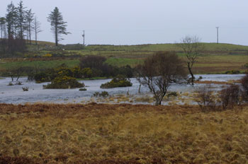 River
                            Ba in flood